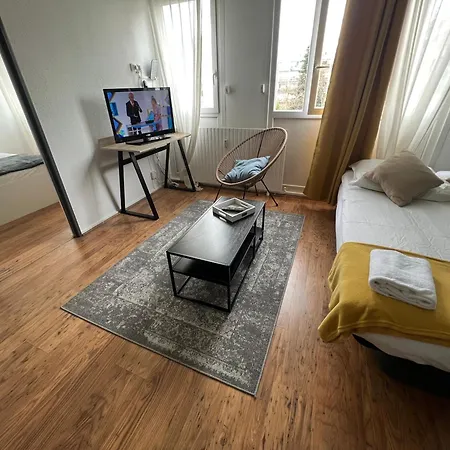 Mon Palmier Grand Parking Un-séjour-à-part * Metz