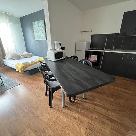 Mon Palmier Grand Parking Un-séjour-à-part Apartamento Metz