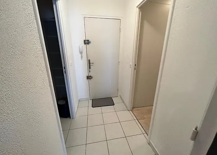 Mon Palmier Grand Parking Un-sejour-a-part Apartment Metz