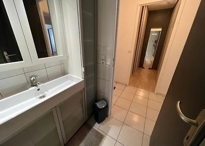 Apartment Mon Palmier Grand Parking Un-sejour-a-part Metz