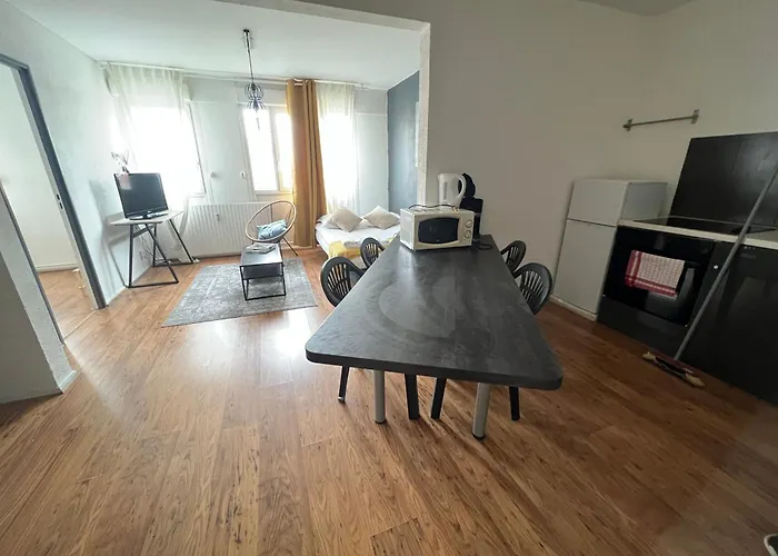 Apartment Mon Palmier Grand Parking Un-sejour-a-part Metz