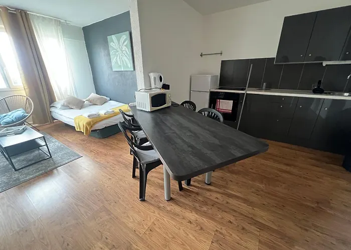 Mon Palmier Grand Parking Un-sejour-a-part Apartment Metz