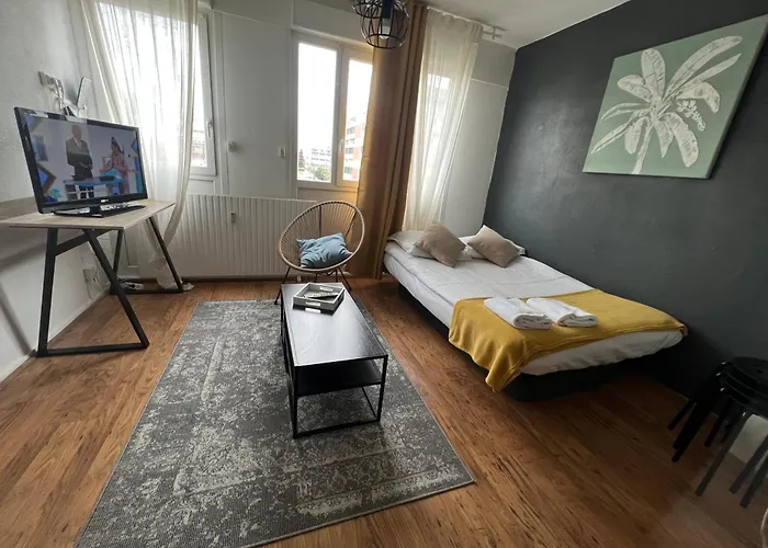 Apartment Mon Palmier Grand Parking Un-sejour-a-part Metz